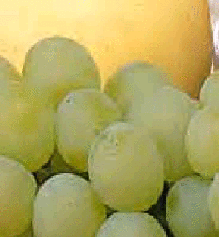 2644