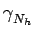 $\displaystyle \gamma_{{N_{h}}}^{}$